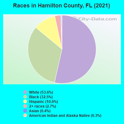 Races in Hamilton County, FL (2019)
