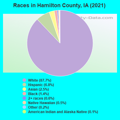 Races in Hamilton County, IA (2019)