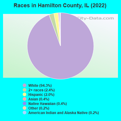 Races in Hamilton County, IL (2019)