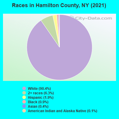 Races in Hamilton County, NY (2022)
