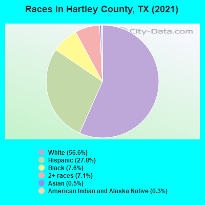 Races in Hartley County, TX (2019)