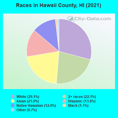 Races in Hawaii County, HI (2021)