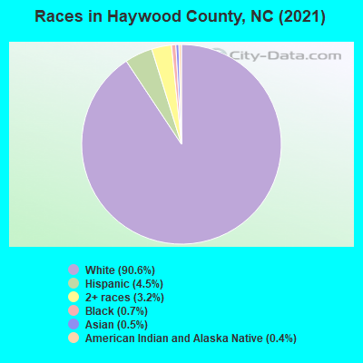 Races in Haywood County, NC (2019)