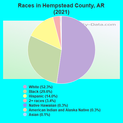 Races in Hempstead County, AR (2022)