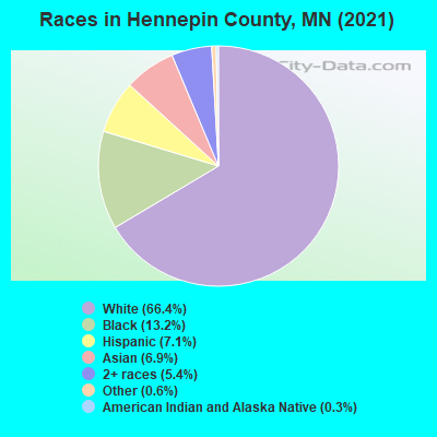 Races in Hennepin County, MN (2021)