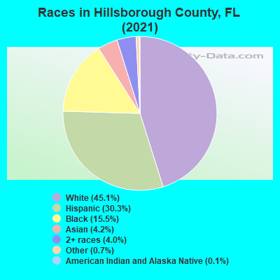 Races in Hillsborough County, FL (2021)