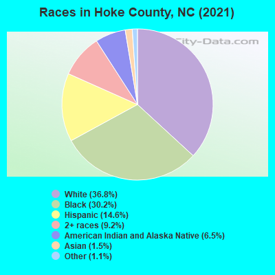 Races in Hoke County, NC (2022)