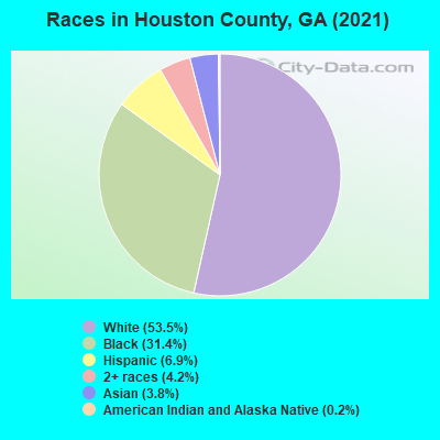 Races in Houston County, GA (2021)