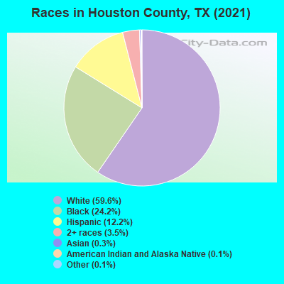 Races in Houston County, TX (2019)