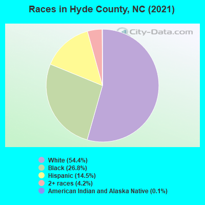 Races in Hyde County, NC (2019)