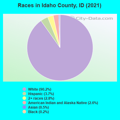 Races in Idaho County, ID (2019)