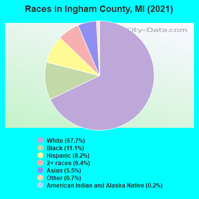 Races in Ingham County, MI (2019)