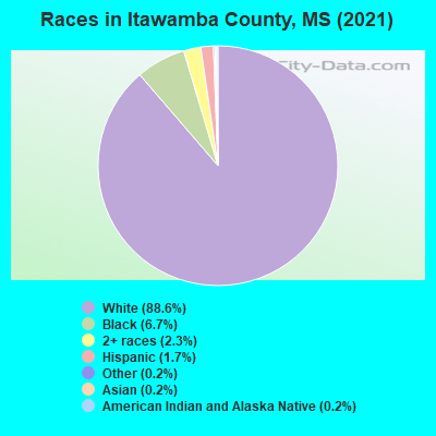 Races in Itawamba County, MS (2021)