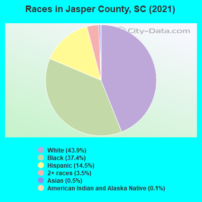 Races in Jasper County, SC (2021)