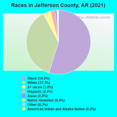 Races in Jefferson County, AR (2022)