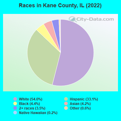 Races in Kane County, IL (2019)
