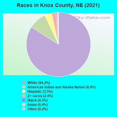 Races in Knox County, NE (2021)