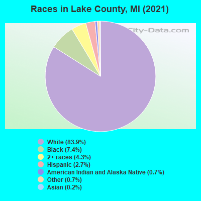 Races in Lake County, MI (2022)