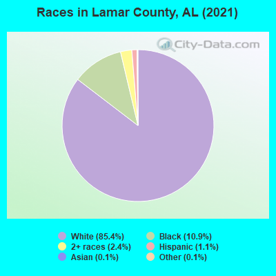 Races in Lamar County, AL (2019)