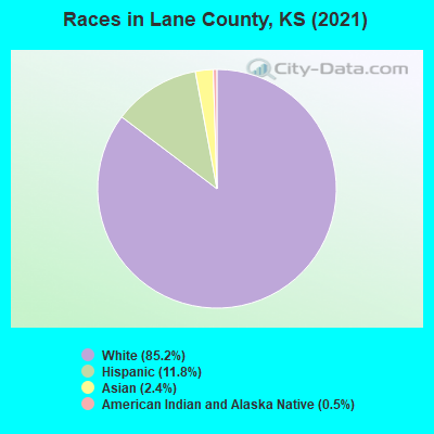 Races in Lane County, KS (2019)