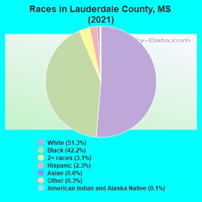 Races in Lauderdale County, MS (2022)