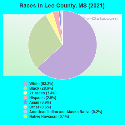 Races in Lee County, MS (2019)