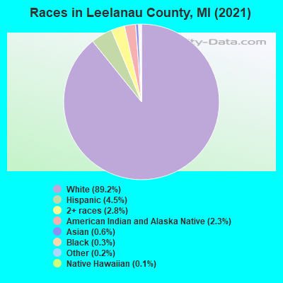 Races in Leelanau County, MI (2021)