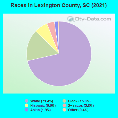 Races in Lexington County, SC (2022)