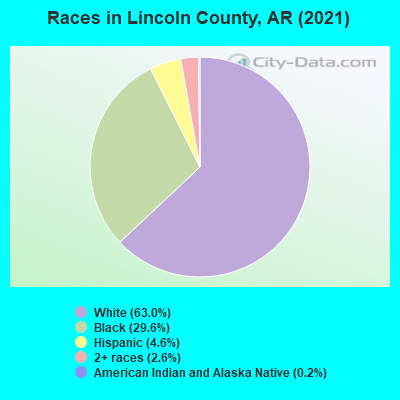 Races in Lincoln County, AR (2019)