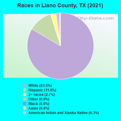 Races in Llano County, TX (2021)
