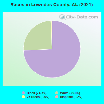 Races in Lowndes County, AL (2019)