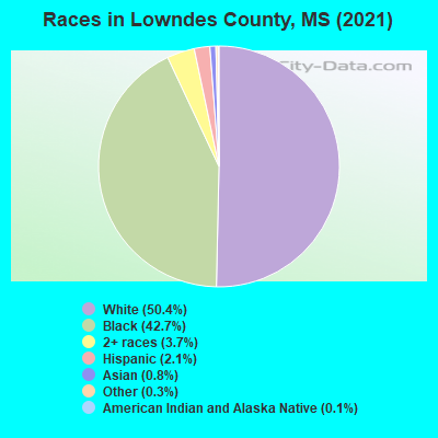 Races in Lowndes County, MS (2021)
