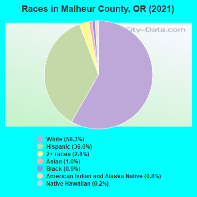 Races in Malheur County, OR (2021)