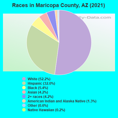 Races in Maricopa County, AZ (2021)