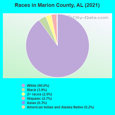 Races in Marion County, AL (2019)