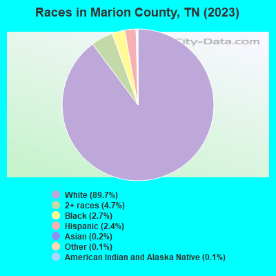 Races in Marion County, TN (2021)