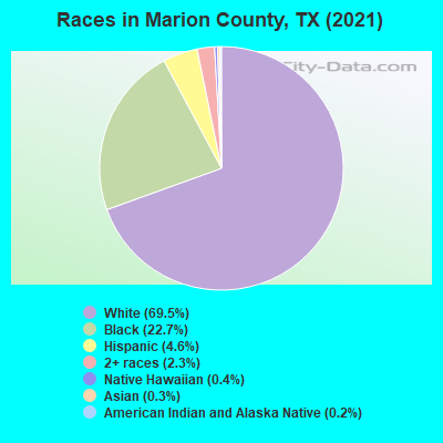 Races in Marion County, TX (2022)