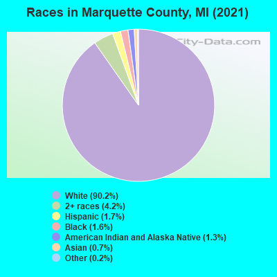 Races in Marquette County, MI (2019)