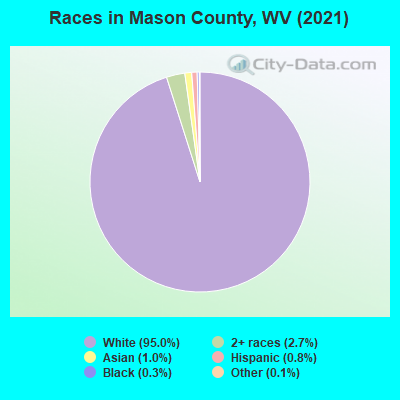 Races in Mason County, WV (2022)