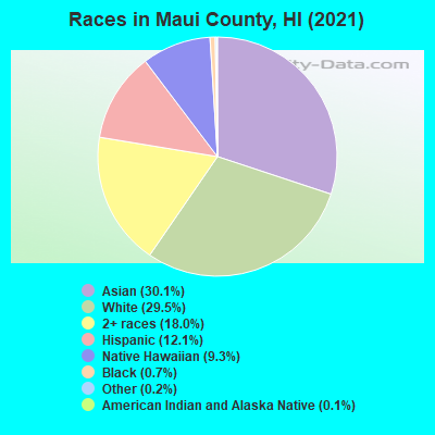 Races in Maui County, HI (2022)