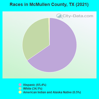 Races in McMullen County, TX (2019)