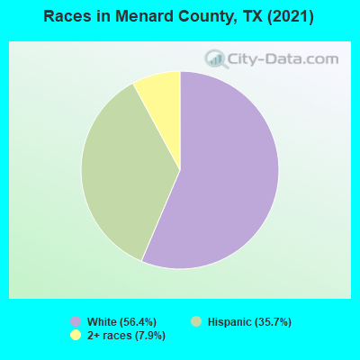 Races in Menard County, TX (2019)