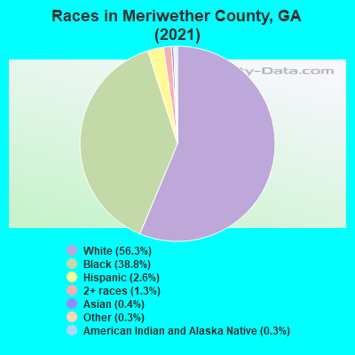 Races in Meriwether County, GA (2022)