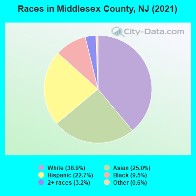 Races in Middlesex County, NJ (2022)