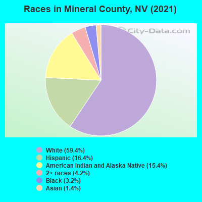 Races in Mineral County, NV (2022)