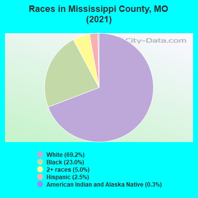 Races in Mississippi County, MO (2021)