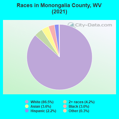 Races in Monongalia County, WV (2021)