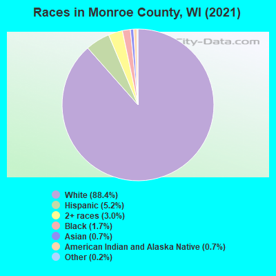 Races in Monroe County, WI (2021)