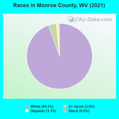 Races in Monroe County, WV (2022)