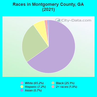 Races in Montgomery County, GA (2021)